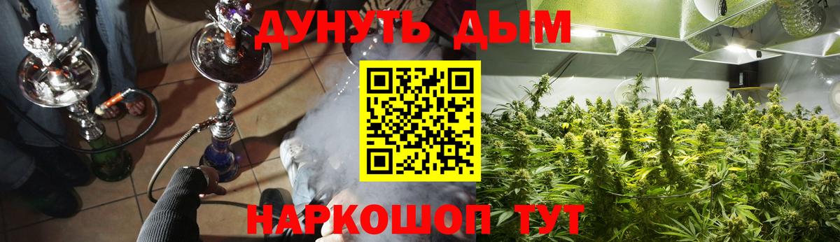 Шишки марихуана ГИДРОПОН  Марихуана планчик  Вход с VPN  Нальчик 